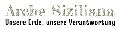 Schriftzug Logo Arche Siziliana