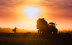 Ein Sonnenuntergang mit einem Traktor der Heuballen stapelt.